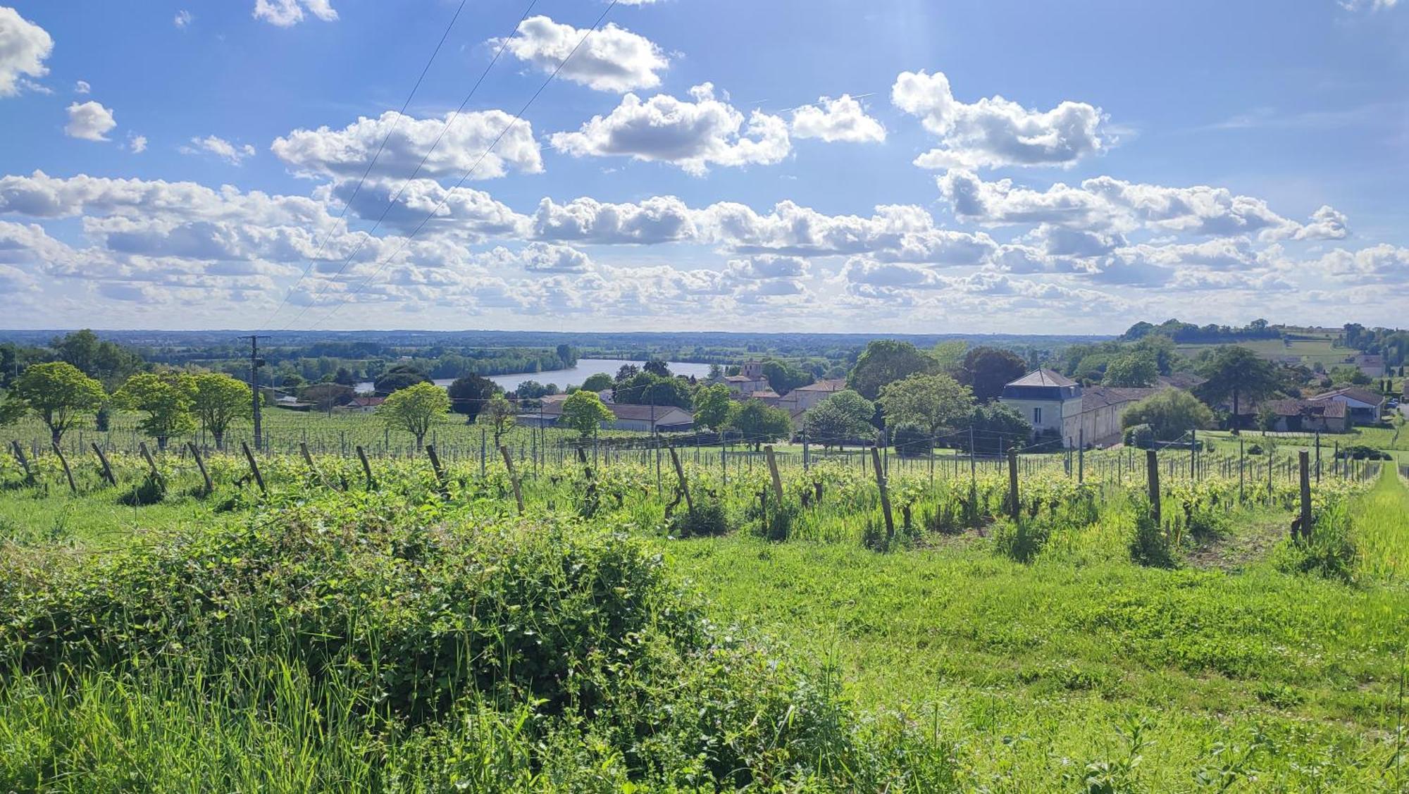 Maison Charmeilles - Gite Touristique - Coliving Fronsac  Eksteriør billede